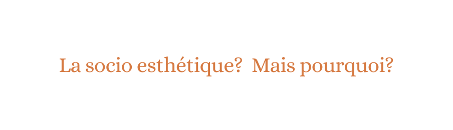 La socio esthétique Mais pourquoi